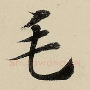 毛