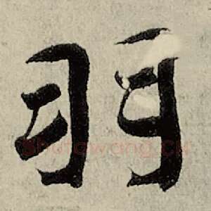 羽