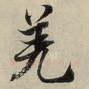 羌