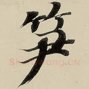 笋
