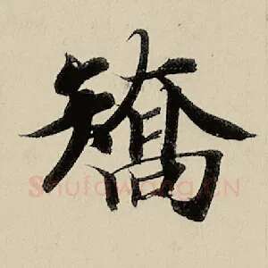 矫