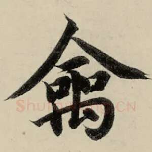 禽