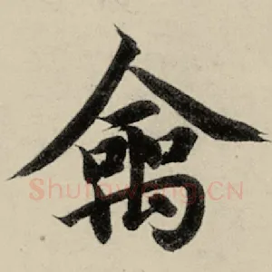 禽