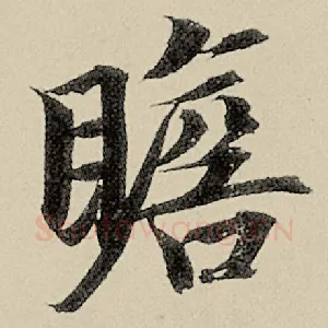 瞻