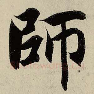 师