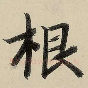 根