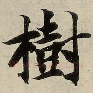 树