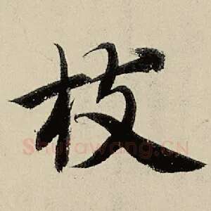 枝