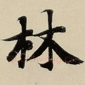 林