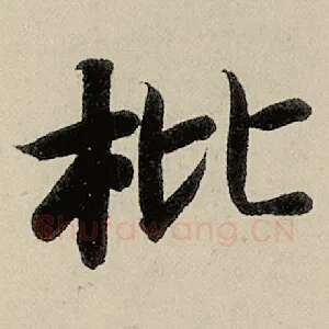 枇