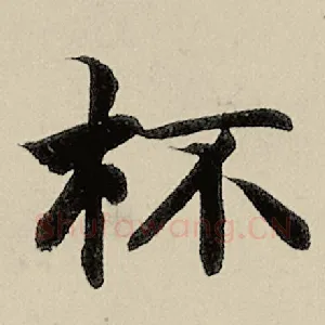 杯