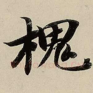 槐