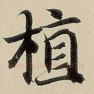 植