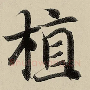 植