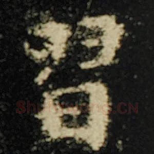 习