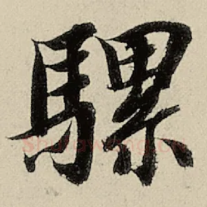 骡