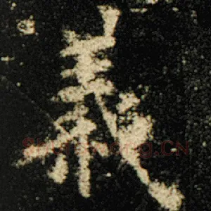 义