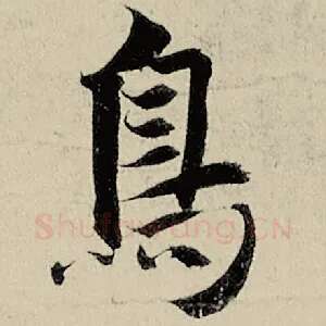鸟