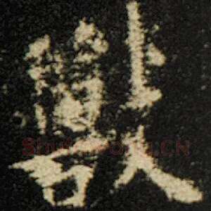兽