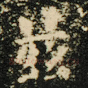 兹