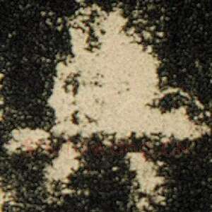 典