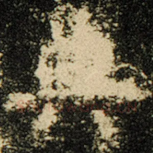 典