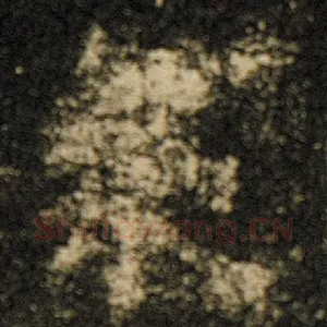 众