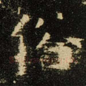 俗