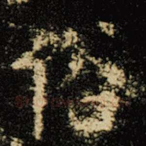 俗