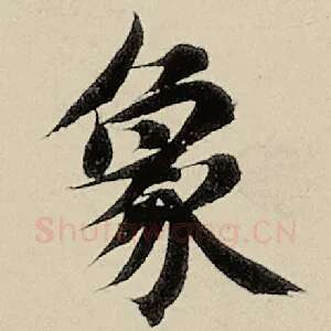 象