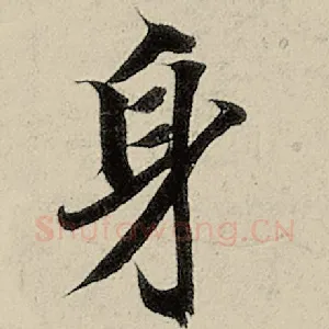 身