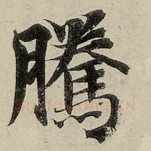 腾