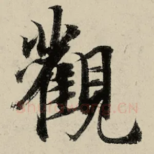 观