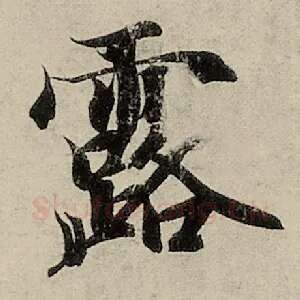 露