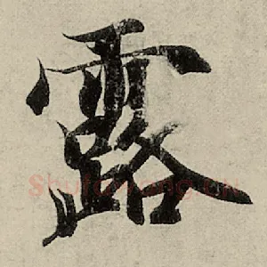露