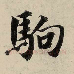 驹