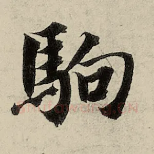 驹