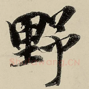 野