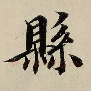 县