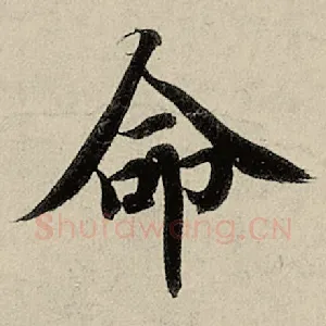 命