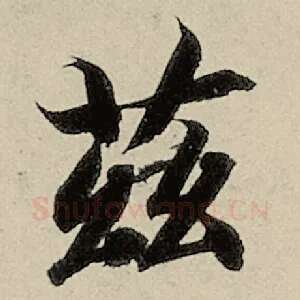 兹
