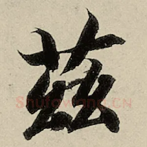 兹