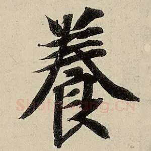 养