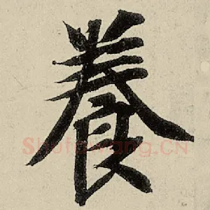 养