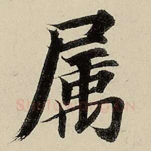 属