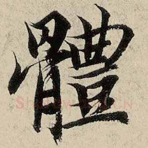 体
