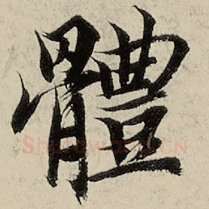 体