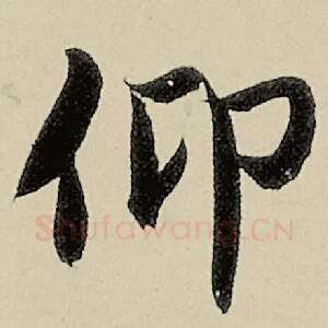 仰