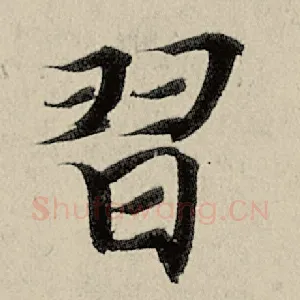 习
