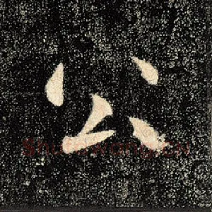 公